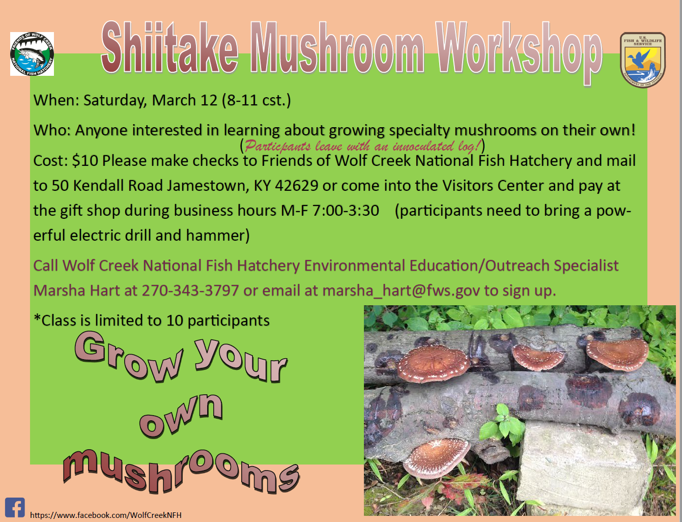 Shiitake mushroom picture FWS.gov